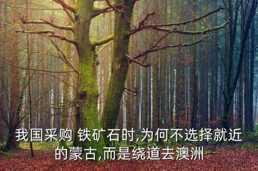中國鐵礦石貿(mào)易