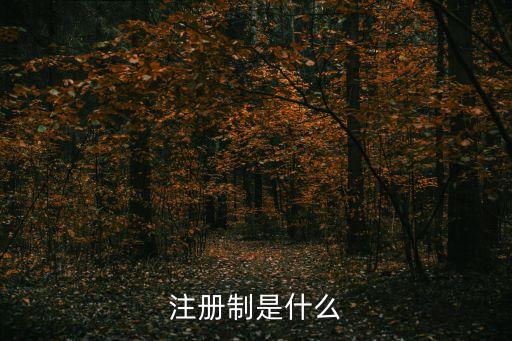 股票注冊制什么意思,發(fā)行股票注冊什么意思
