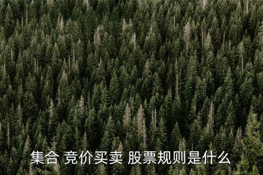 集合 競(jìng)價(jià)買(mǎi)賣(mài) 股票規(guī)則是什么