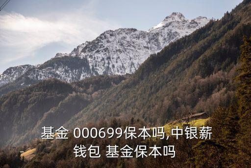  基金 000699保本嗎,中銀薪錢(qián)包 基金保本嗎