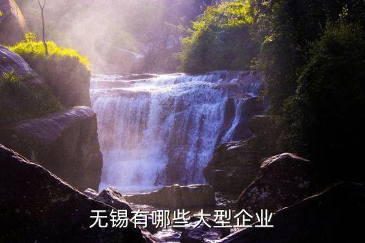 江蘇三房巷實業(yè)集團總公司,江蘇沿山實業(yè)集團總公司