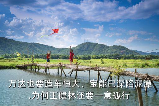 萬達(dá)集團(tuán)2013年財(cái)報(bào)
