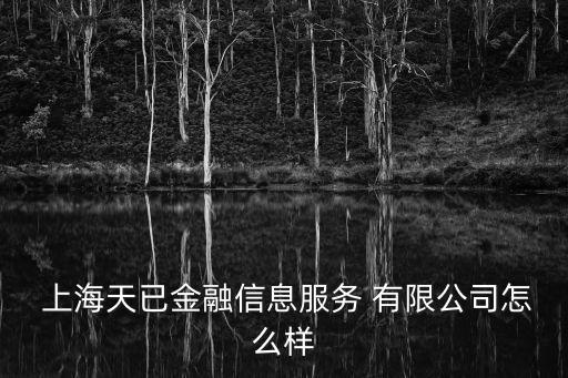  上海天已金融信息服務 有限公司怎么樣