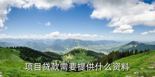 項目貸款需要提供什么資料