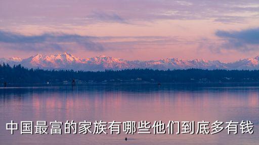 中國(guó)最富的家族有哪些他們到底多有錢