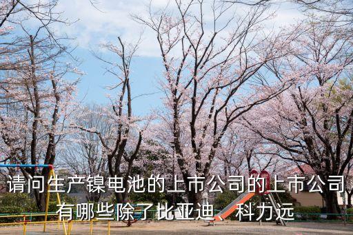 請問生產(chǎn)鎳電池的上市公司的上市公司有哪些除了比亞迪、科力遠