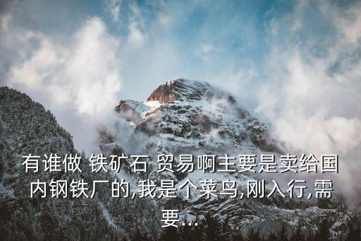 有誰做 鐵礦石 貿(mào)易啊主要是賣給國內(nèi)鋼鐵廠的,我是個(gè)菜鳥,剛?cè)胄?需要...
