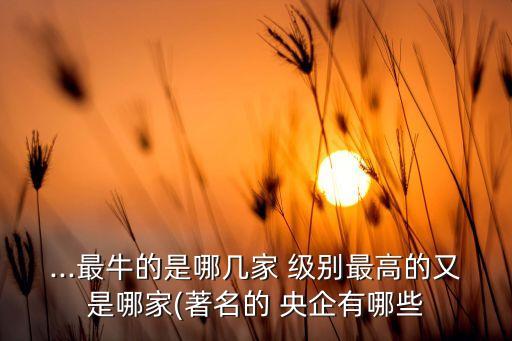 ...最牛的是哪幾家 級別最高的又是哪家(著名的 央企有哪些