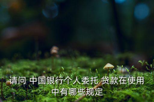 中國銀行個(gè)人貸款業(yè)務(wù)