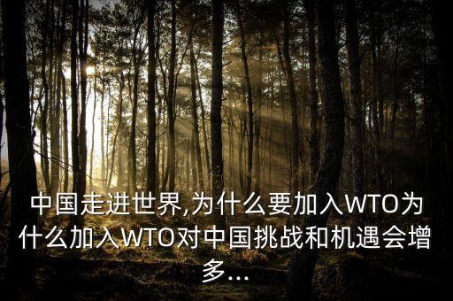 中國(guó)全球化化輸家,全球化的贏家和輸家