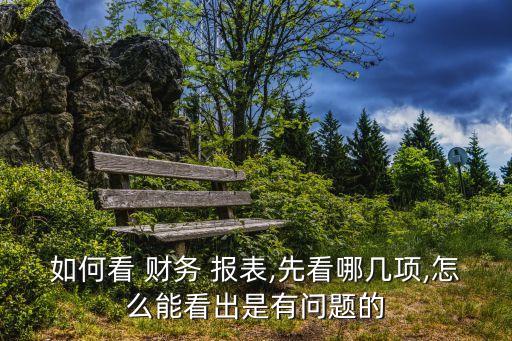 如何看 財務(wù) 報表,先看哪幾項,怎么能看出是有問題的
