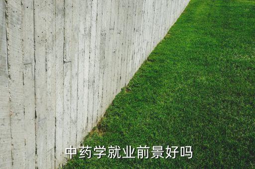 中國中藥學(xué)