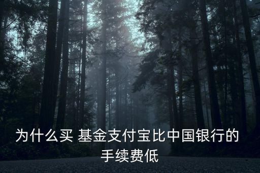 為什么買(mǎi) 基金支付寶比中國(guó)銀行的 手續(xù)費(fèi)低