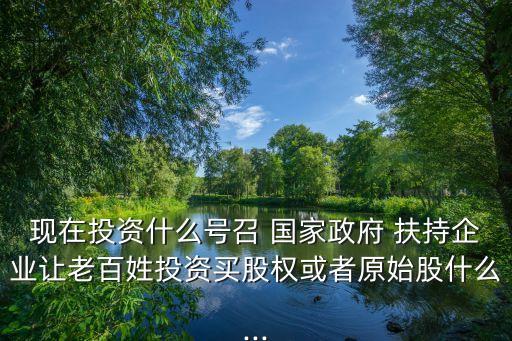 現在投資什么號召 國家政府 扶持企業(yè)讓老百姓投資買股權或者原始股什么...