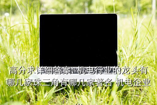 高分求詳細答案: 機電行業(yè)的龍頭有哪幾家珠三角有哪幾家著名 機電企業(yè)...