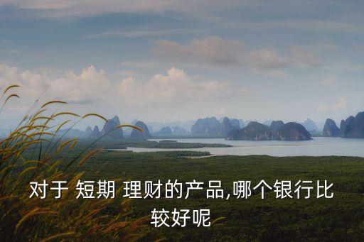 對于 短期 理財(cái)?shù)漠a(chǎn)品,哪個(gè)銀行比較好呢