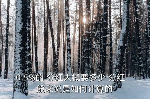 0.5%的 分紅大概要多少 分紅一般來說是如何計算的