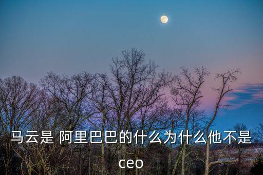阿里巴巴集團(tuán)董事局主席