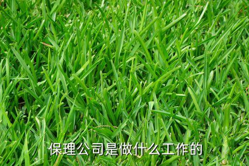 中灣商業(yè)保理有限公司