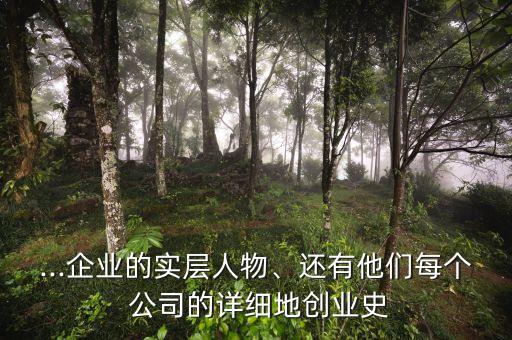 ...企業(yè)的實層人物、還有他們每個 公司的詳細(xì)地創(chuàng)業(yè)史