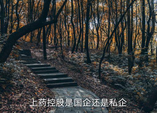 上海醫(yī)藥分銷怎么樣
