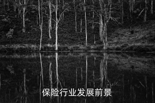中國人均保單,2023中國人均保單