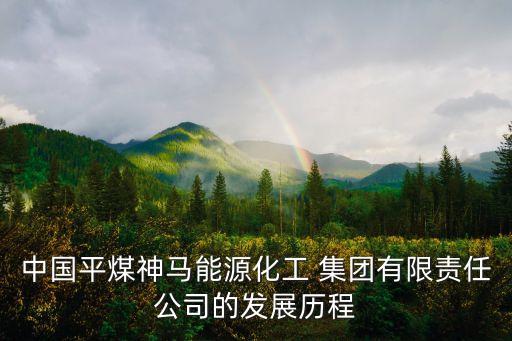 武漢鋼鐵集團(tuán)財務(wù)