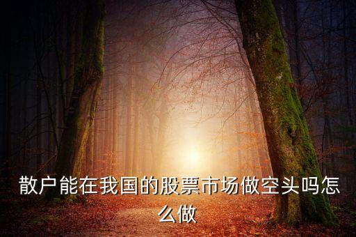  散戶能在我國(guó)的股票市場(chǎng)做空頭嗎怎么做