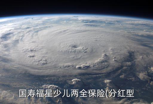 國壽福星少兒兩全保險(xiǎn)(分紅型