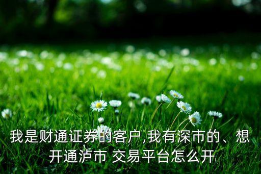 我是財(cái)通證券的客戶,我有深市的、想 開(kāi)通瀘市 交易平臺(tái)怎么開(kāi)