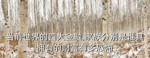 當(dāng)前世界的四大金融 家族分別是誰其擁有的財(cái)富有多恐怖