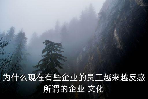 為什么現(xiàn)在有些企業(yè)的員工越來(lái)越反感所謂的企業(yè) 文化