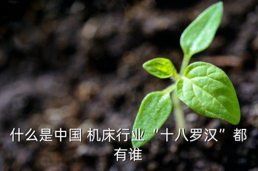 什么是中國 機(jī)床行業(yè)“十八羅漢”都有誰