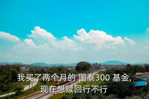 我買了兩個(gè)月的 國泰300 基金,現(xiàn)在想贖回行不行