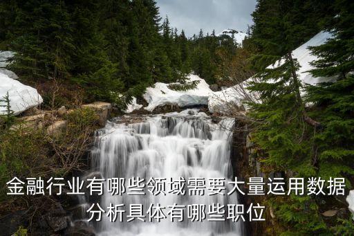 金融行業(yè)有哪些領域需要大量運用數(shù)據(jù)分析具體有哪些職位