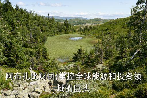 阿布扎比財團(tuán)(掌控全球能源和投資領(lǐng)域的巨頭