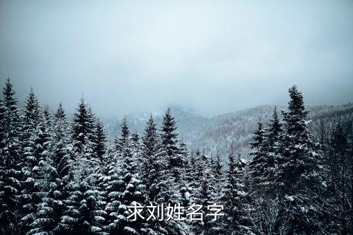 求劉姓名字