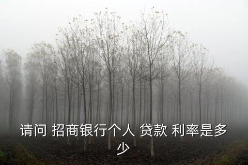 請(qǐng)問(wèn) 招商銀行個(gè)人 貸款 利率是多少