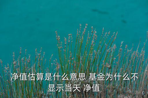  凈值估算是什么意思 基金為什么不顯示當天 凈值