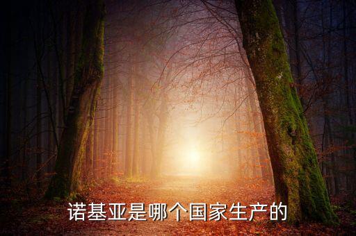 諾基亞是哪個(gè)國家生產(chǎn)的