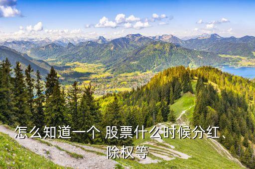 怎么知道一個(gè) 股票什么時(shí)候分紅、 除權(quán)等