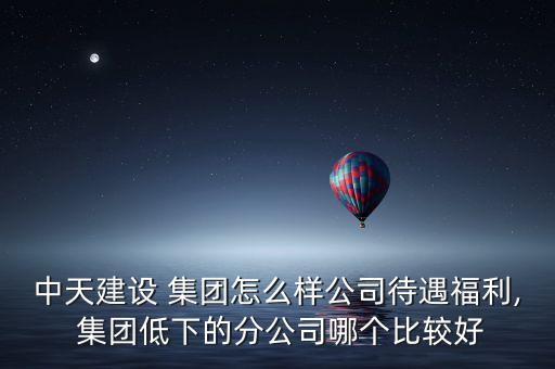 中天集團田,浙江中天建設集團