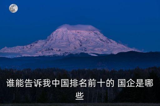 誰(shuí)能告訴我中國(guó)排名前十的 國(guó)企是哪些