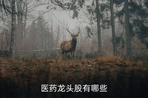 醫(yī)藥龍頭股有哪些