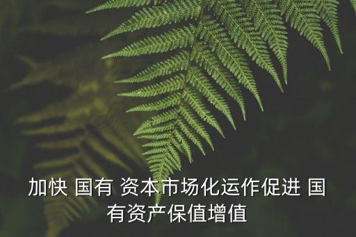 國有資本投資運營的領(lǐng)域,長沙市國有資本投資運營集團有限公司