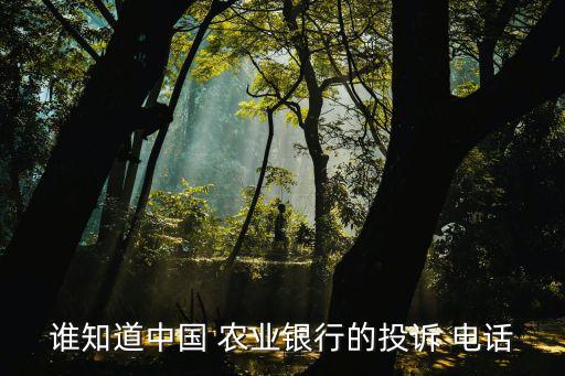 誰(shuí)知道中國(guó) 農(nóng)業(yè)銀行的投訴 電話
