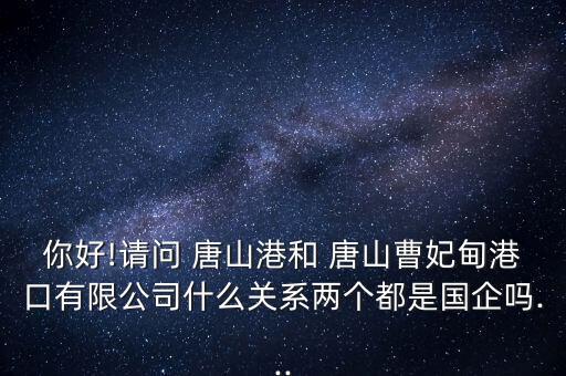 你好!請問 唐山港和 唐山曹妃甸港口有限公司什么關(guān)系兩個都是國企嗎...