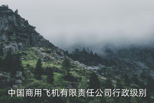中國商用飛機(jī)有限責(zé)任公司行政級(jí)別