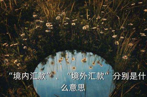 “境內匯款”、“境外匯款”分別是什么意思