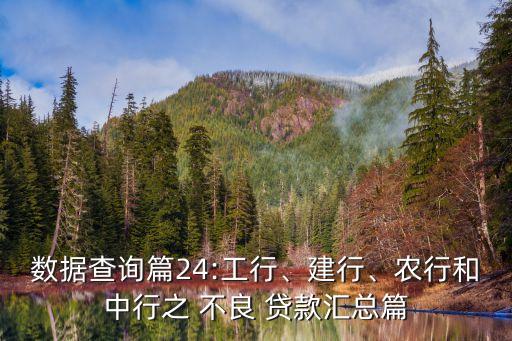 數(shù)據(jù)查詢篇24:工行、建行、農(nóng)行和中行之 不良 貸款匯總篇